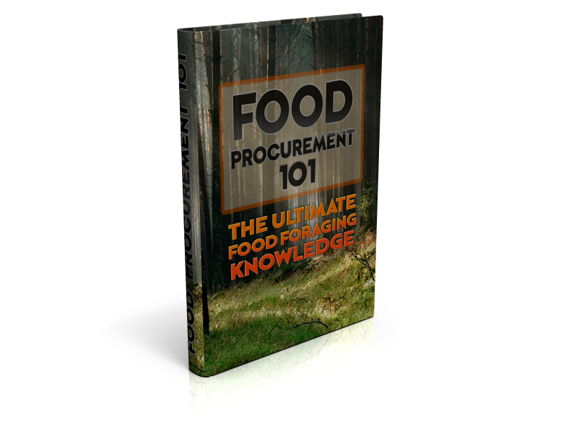 Food Procurement 101